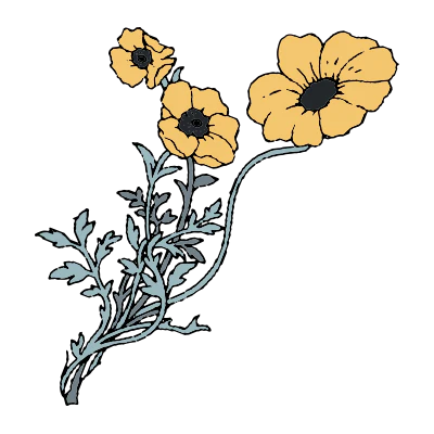 The Frolicking Tee - Image 6